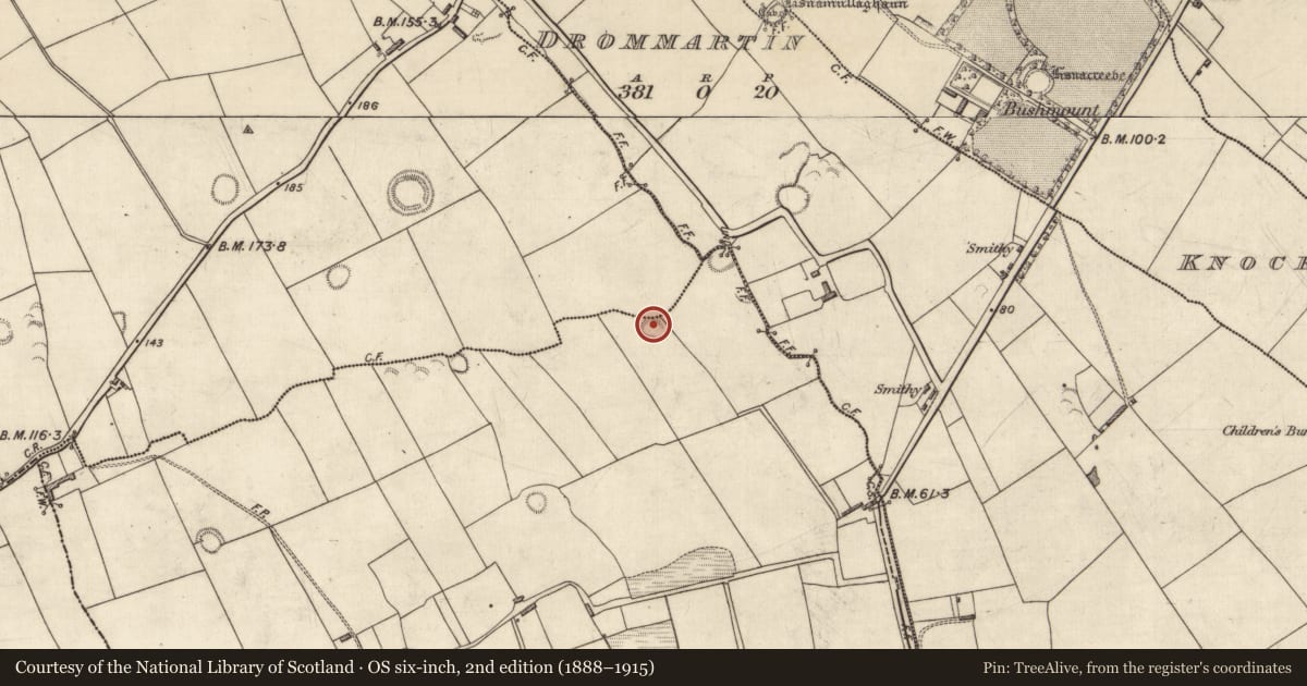 Ordnance Survey six-inch map, 2nd edition (1888–1915) covering the location of Ringfort - rath, Ballincrossig, Tullaghna, County Kerry, with a pin at the register's coordinates