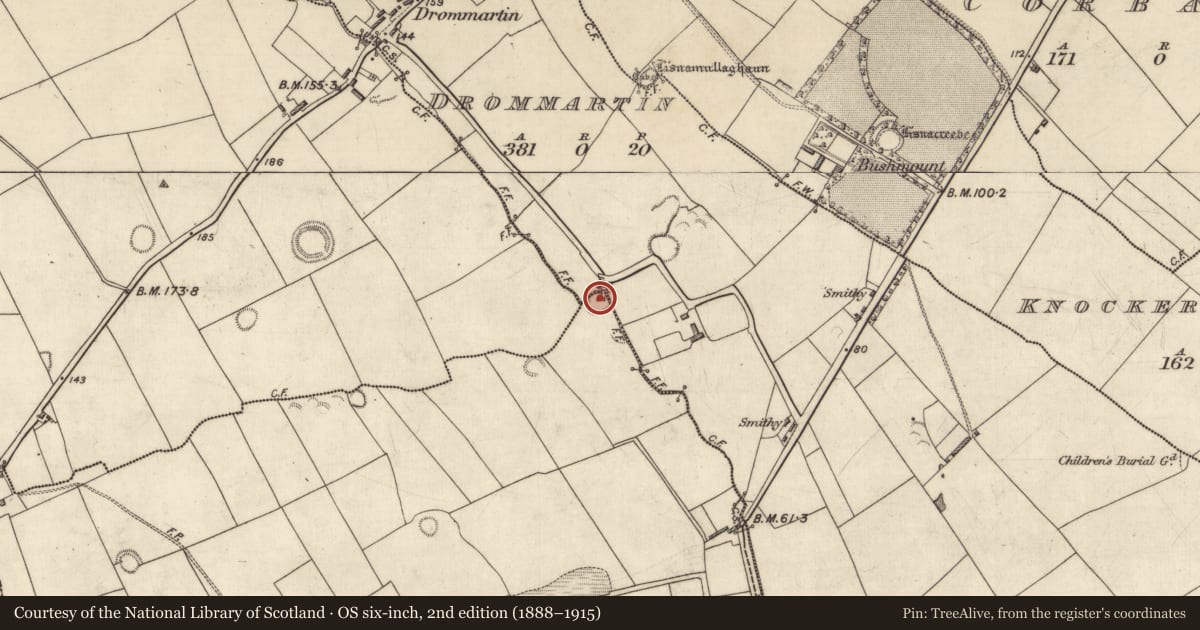 Ordnance Survey six-inch map, 2nd edition (1888–1915) covering the location of Ringfort - rath, Ballincrossig, Drommartin, County Kerry, with a pin at the register's coordinates