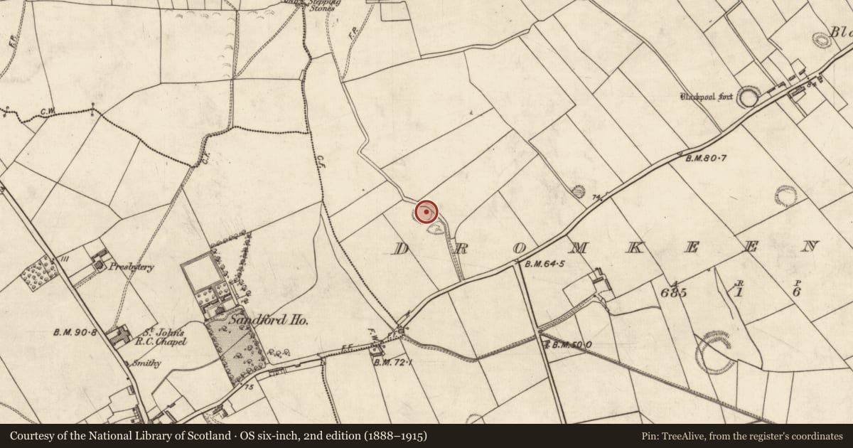 Ordnance Survey six-inch map, 2nd edition (1888–1915) covering the location of Souterrain, Dromkeen East, County Kerry, with a pin at the register's coordinates