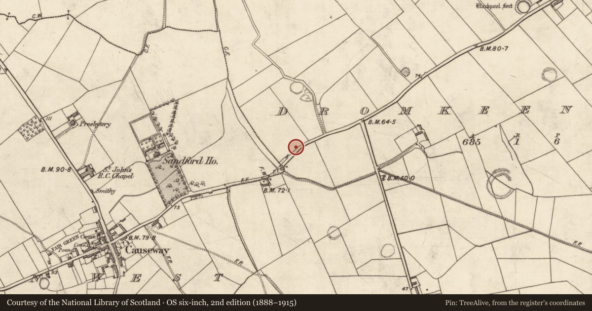 Ordnance Survey six-inch map, 2nd edition (1888–1915) covering the location of Cist, Dromkeen East, County Kerry, with a pin at the register's coordinates