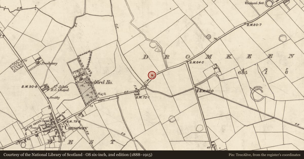 Ordnance Survey six-inch map, 2nd edition (1888–1915) covering the location of Cist, Dromkeen East, County Kerry, with a pin at the register's coordinates