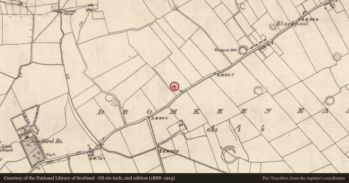 Ordnance Survey six-inch map, 2nd edition (1888–1915) covering the location of Ringfort - rath, Dromkeen East, County Kerry, with a pin at the register's coordinates