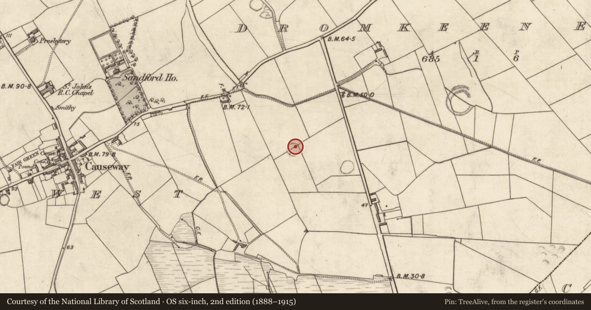 Ordnance Survey six-inch map, 2nd edition (1888–1915) covering the location of Souterrain, Dromkeen East, County Kerry, with a pin at the register's coordinates