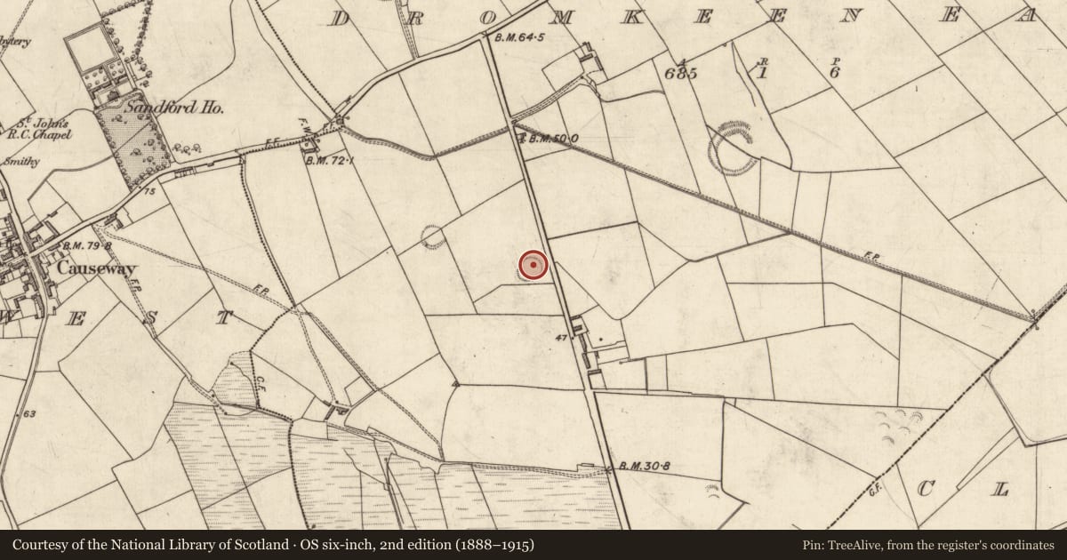 Ordnance Survey six-inch map, 2nd edition (1888–1915) covering the location of Ringfort - rath, Dromkeen East, County Kerry, with a pin at the register's coordinates