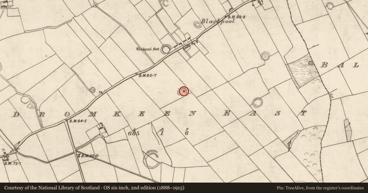 Ordnance Survey six-inch map, 2nd edition (1888–1915) covering the location of Souterrain, Dromkeen East, County Kerry, with a pin at the register's coordinates