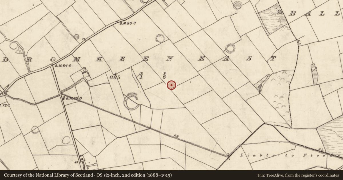 Ordnance Survey six-inch map, 2nd edition (1888–1915) covering the location of Fulacht fia, Dromkeen East, County Kerry, with a pin at the register's coordinates