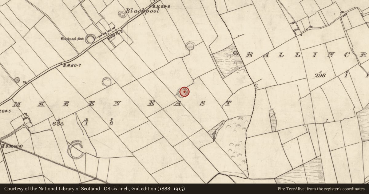 Ordnance Survey six-inch map, 2nd edition (1888–1915) covering the location of Ringfort - cashel, Dromkeen East, County Kerry, with a pin at the register's coordinates