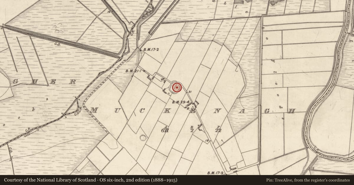 Ordnance Survey six-inch map, 2nd edition (1888–1915) covering the location of Ringfort - rath, Muckenagh, County Kerry, with a pin at the register's coordinates