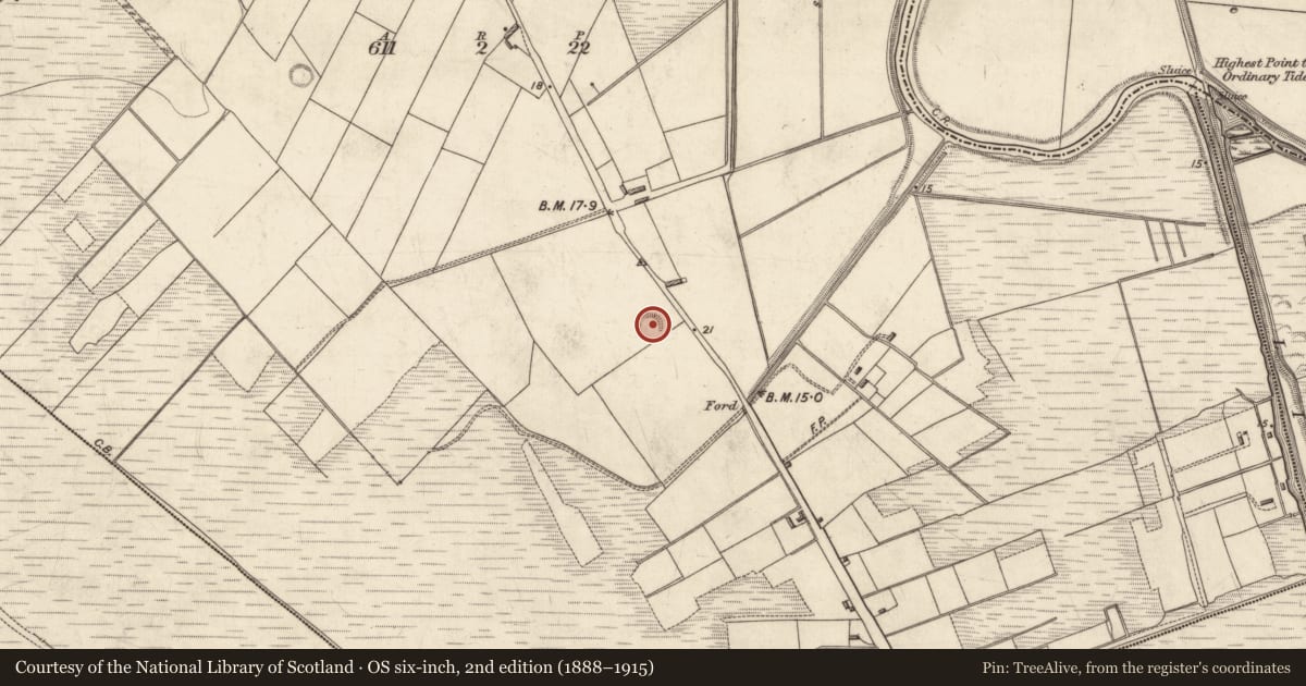 Ordnance Survey six-inch map, 2nd edition (1888–1915) covering the location of Ringfort - rath, Muckenagh, County Kerry, with a pin at the register's coordinates