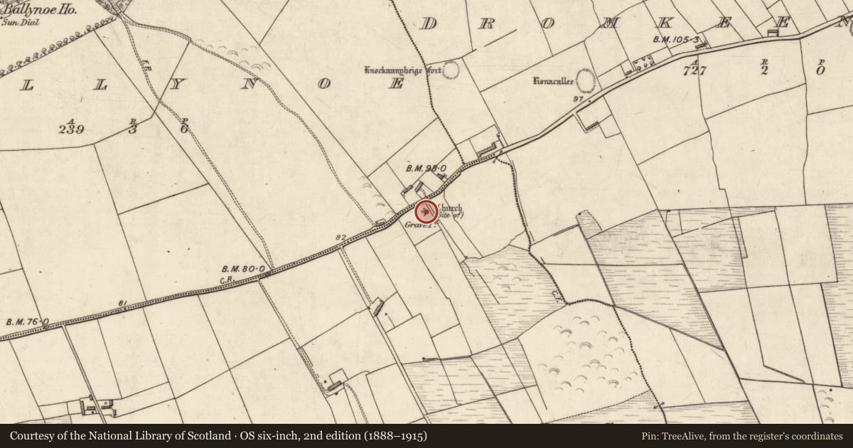 Ordnance Survey six-inch map, 2nd edition (1888–1915) covering the location of Church, Lissycurrig, County Kerry, with a pin at the register's coordinates