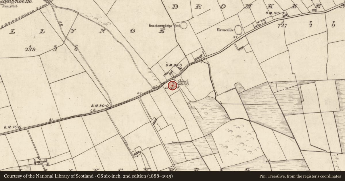 Ordnance Survey six-inch map, 2nd edition (1888–1915) covering the location of Graveyard, Lissycurrig, County Kerry, with a pin at the register's coordinates