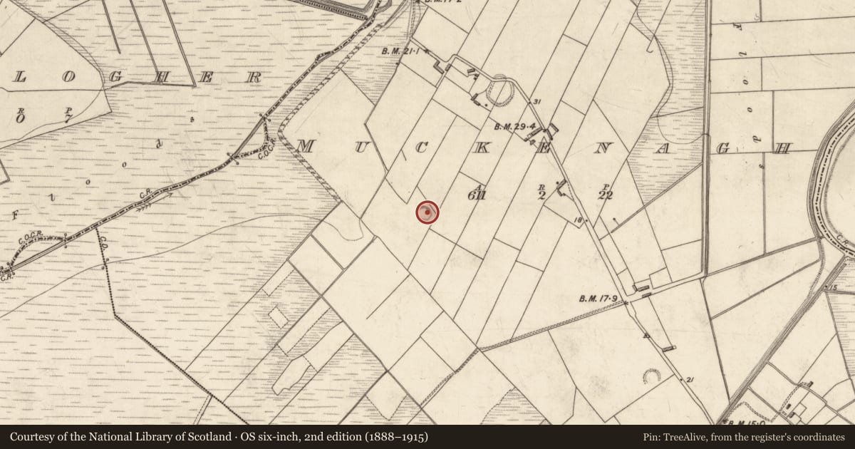Ordnance Survey six-inch map, 2nd edition (1888–1915) covering the location of Ringfort - rath, Muckenagh, County Kerry, with a pin at the register's coordinates