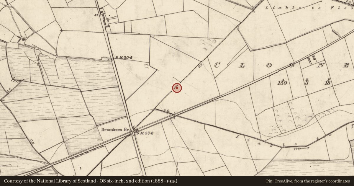 Ordnance Survey six-inch map, 2nd edition (1888–1915) covering the location of Enclosure, Clooneen, Dromkeen East, County Kerry, with a pin at the register's coordinates