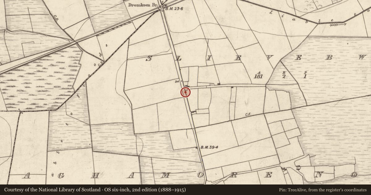 Ordnance Survey six-inch map, 2nd edition (1888–1915) covering the location of Ringfort - rath, Slievebwee, County Kerry, with a pin at the register's coordinates
