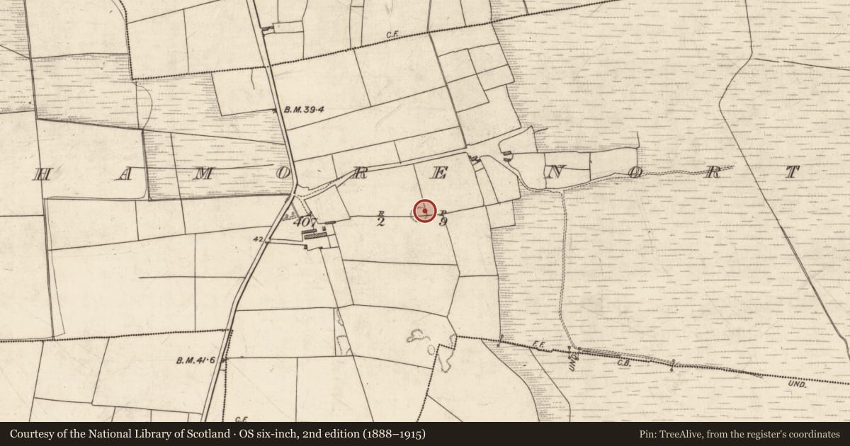 Ordnance Survey six-inch map, 2nd edition (1888–1915) covering the location of Ringfort - rath, Aghamore North, County Kerry, with a pin at the register's coordinates