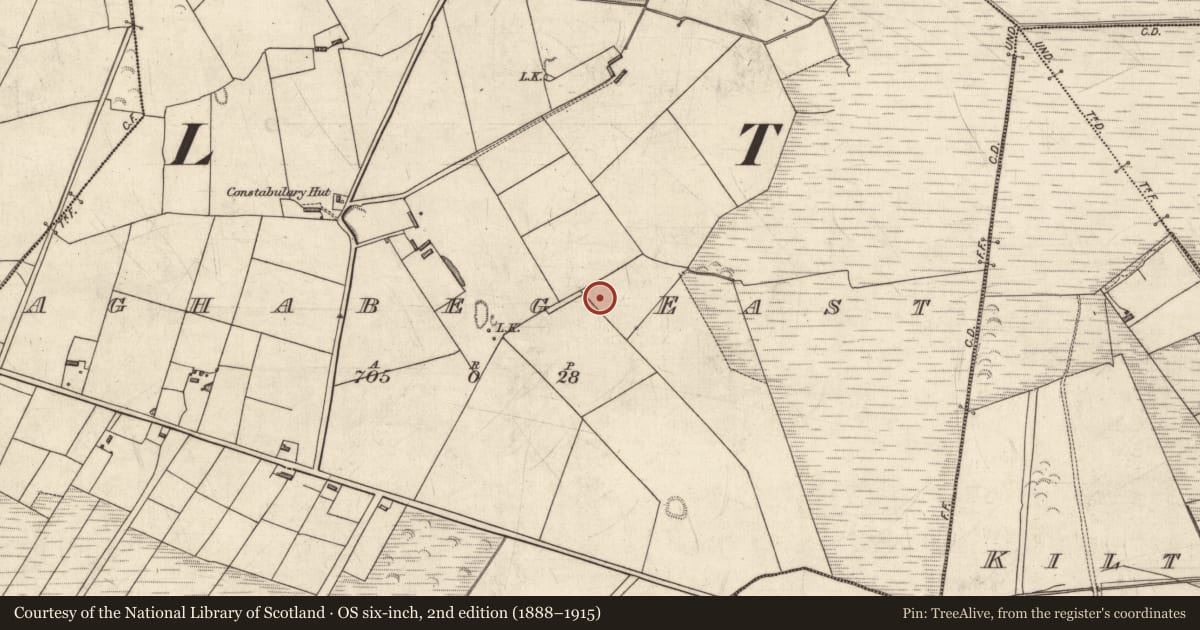 Ordnance Survey six-inch map, 2nd edition (1888–1915) covering the location of Ringfort - rath, Aghabeg East, County Kerry, with a pin at the register's coordinates