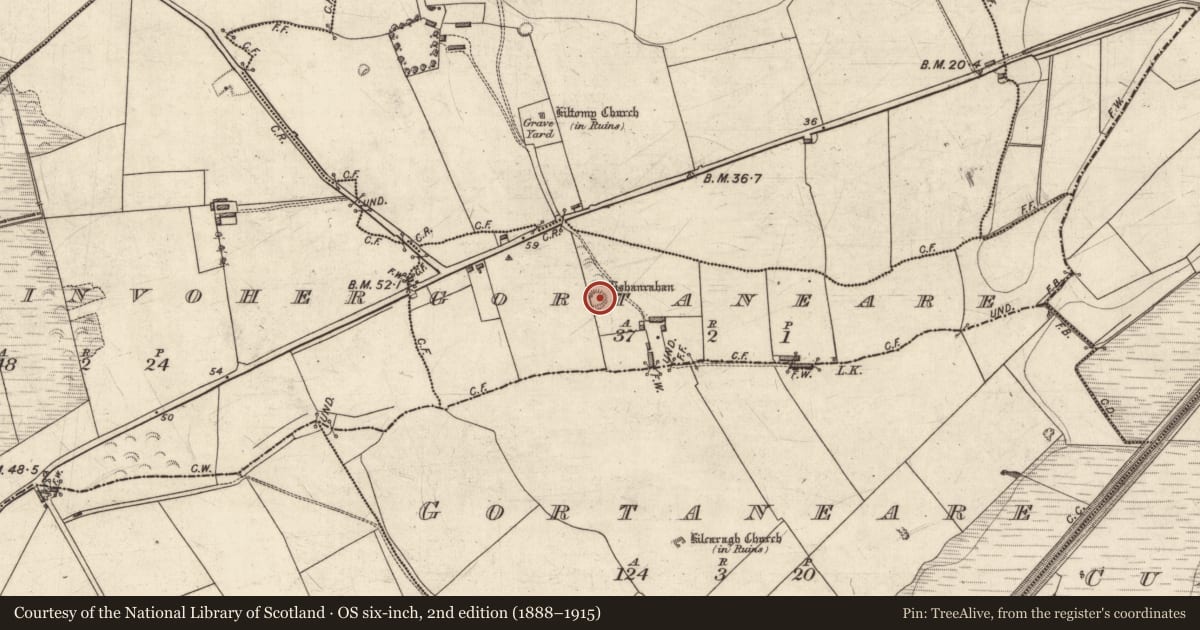 Ordnance Survey six-inch map, 2nd edition (1888–1915) covering the location of Ringfort - rath, Gortaneare (Clanmaurice By., Kilcaragh Par.), County Kerry, with a pin at the register's coordinates