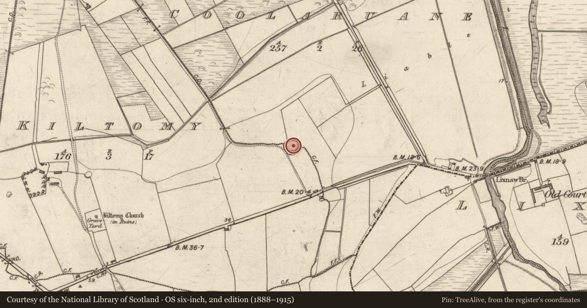 Ordnance Survey six-inch map, 2nd edition (1888–1915) covering the location of Ringfort - rath, Coolaruane, Kiltomy, County Kerry, with a pin at the register's coordinates