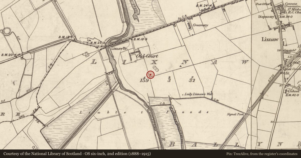 Ordnance Survey six-inch map, 2nd edition (1888–1915) covering the location of Castle - Anglo-Norman masonry castle, Lixnaw, County Kerry, with a pin at the register's coordinates