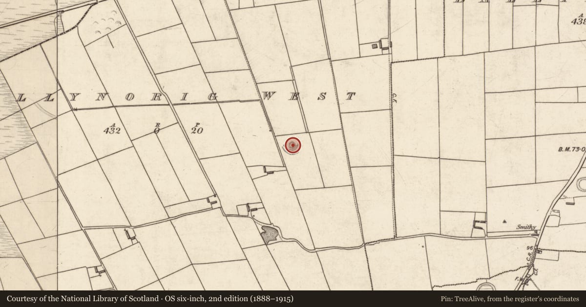 Ordnance Survey six-inch map, 2nd edition (1888–1915) covering the location of Barrow - ring-barrow, Ballynorig West, County Kerry, with a pin at the register's coordinates