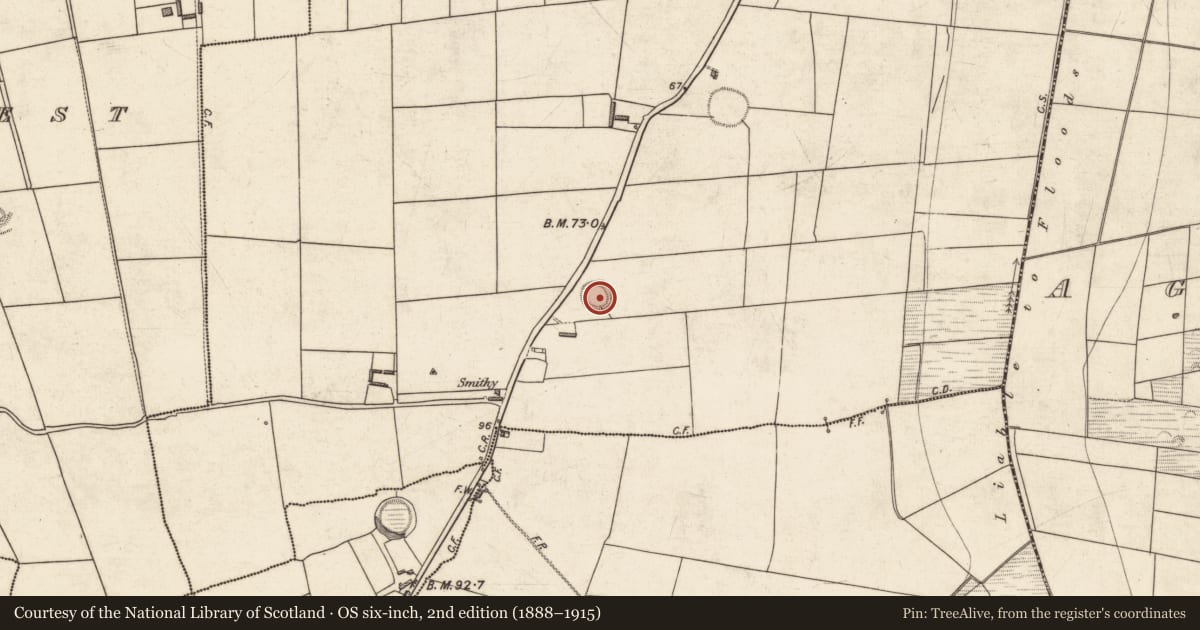 Ordnance Survey six-inch map, 2nd edition (1888–1915) covering the location of Ringfort - rath, Ballynorig East, County Kerry, with a pin at the register's coordinates