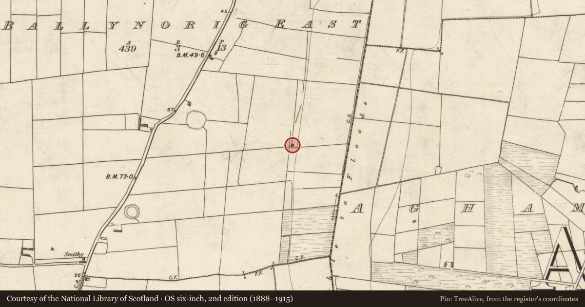 Ordnance Survey six-inch map, 2nd edition (1888–1915) covering the location of Enclosure, Ballynorig East, County Kerry, with a pin at the register's coordinates