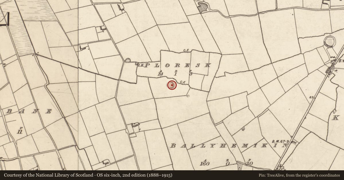 Ordnance Survey six-inch map, 2nd edition (1888–1915) covering the location of Ringfort - rath, Ballyhemikin, County Kerry, with a pin at the register's coordinates