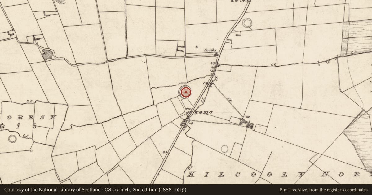 Ordnance Survey six-inch map, 2nd edition (1888–1915) covering the location of Ringfort - rath, Ballyhemikin, County Kerry, with a pin at the register's coordinates