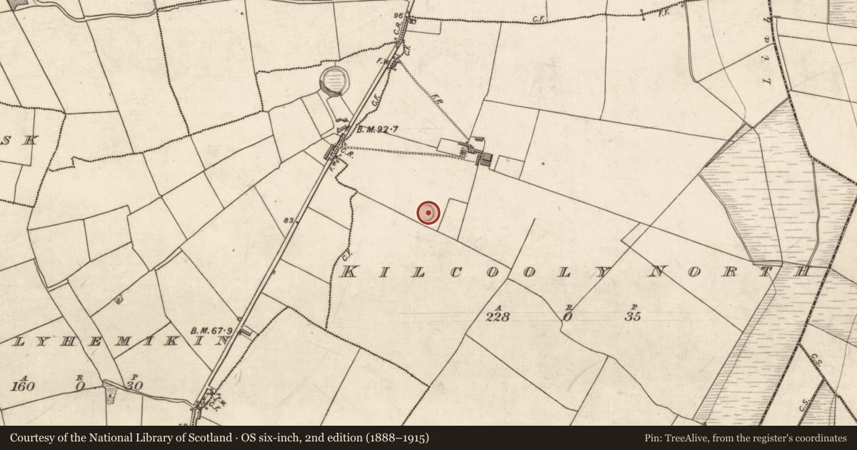 Ordnance Survey six-inch map, 2nd edition (1888–1915) covering the location of Ringfort - rath, Kilcooly North, County Kerry, with a pin at the register's coordinates