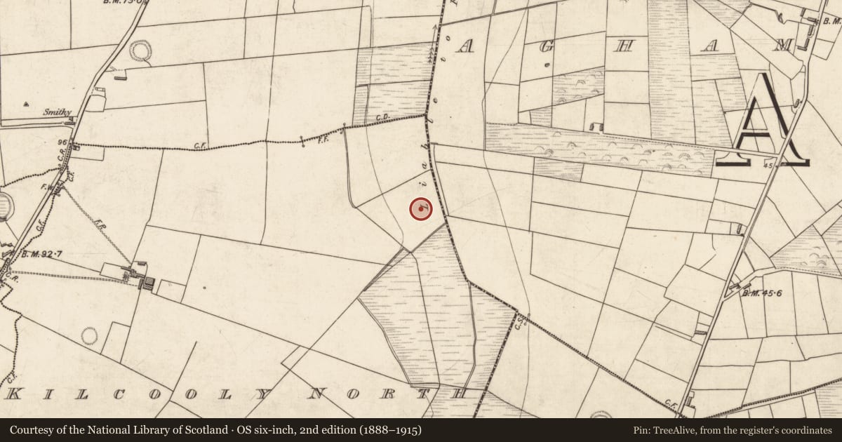 Ordnance Survey six-inch map, 2nd edition (1888–1915) covering the location of Fulacht fia, Kilcooly North, County Kerry, with a pin at the register's coordinates