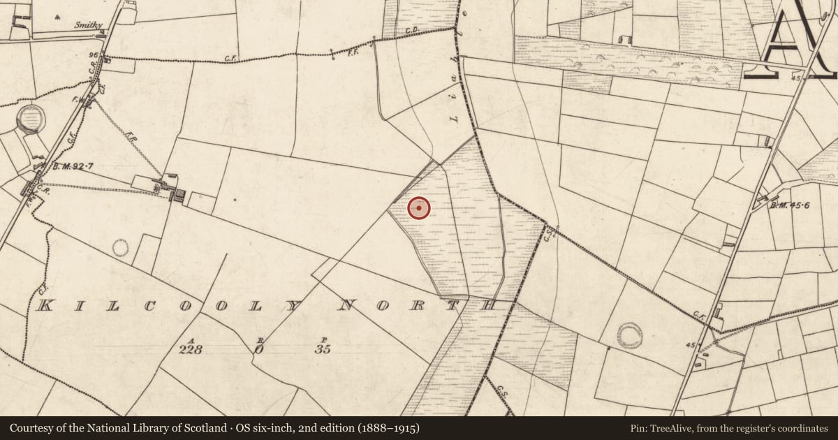 Ordnance Survey six-inch map, 2nd edition (1888–1915) covering the location of Fulacht fia, Kilcooly North, County Kerry, with a pin at the register's coordinates