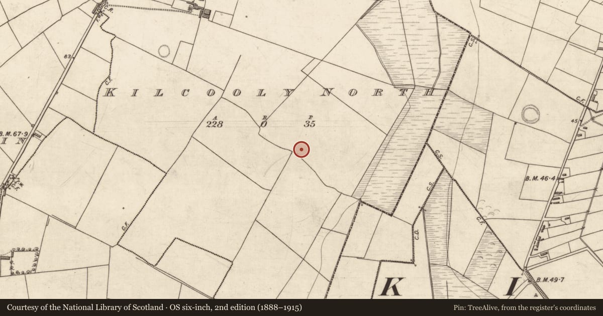 Ordnance Survey six-inch map, 2nd edition (1888–1915) covering the location of Ringfort - rath, Kilcooly North, County Kerry, with a pin at the register's coordinates