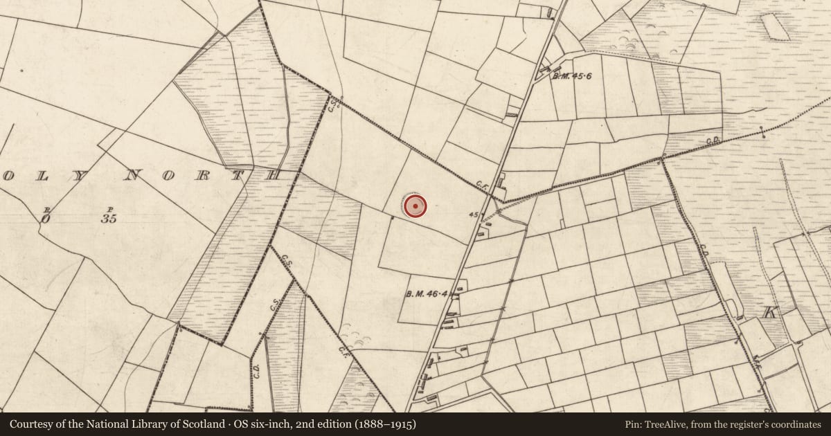Ordnance Survey six-inch map, 2nd edition (1888–1915) covering the location of Ringfort - rath, Ballymacaquim East, County Kerry, with a pin at the register's coordinates