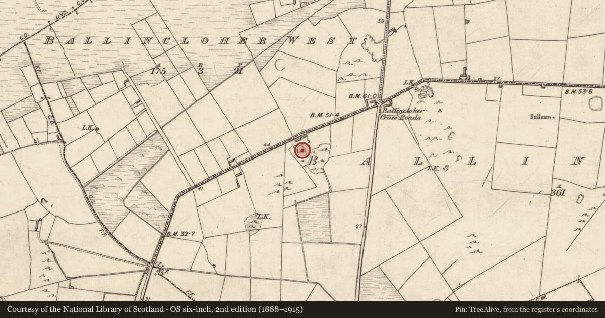 Ordnance Survey six-inch map, 2nd edition (1888–1915) covering the location of Ringfort - rath, Ballincloher, County Kerry, with a pin at the register's coordinates