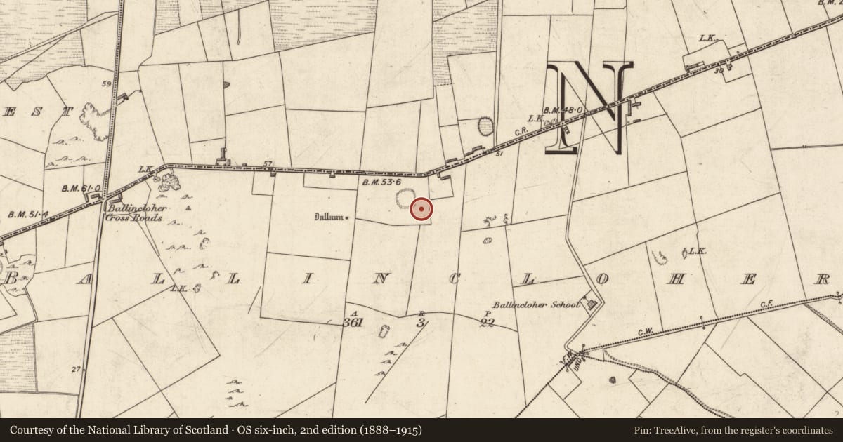 Ordnance Survey six-inch map, 2nd edition (1888–1915) covering the location of Ringfort - rath, Ballincloher, County Kerry, with a pin at the register's coordinates