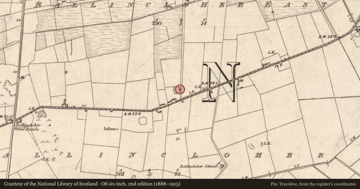 Ordnance Survey six-inch map, 2nd edition (1888–1915) covering the location of Ringfort - rath, Ballincloher East, County Kerry, with a pin at the register's coordinates