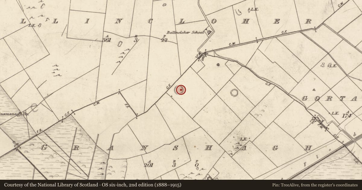 Ordnance Survey six-inch map, 2nd edition (1888–1915) covering the location of Ringfort - rath, Granshagh, County Kerry, with a pin at the register's coordinates