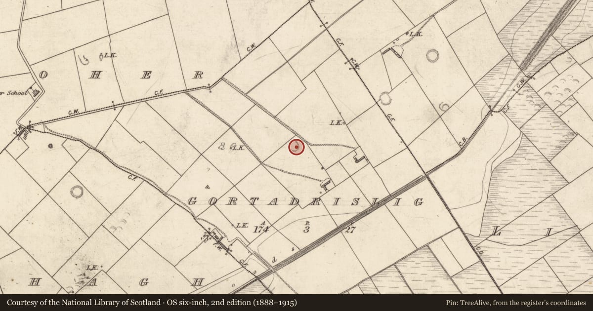 Ordnance Survey six-inch map, 2nd edition (1888–1915) covering the location of Ringfort - rath, Gortadrislig, County Kerry, with a pin at the register's coordinates