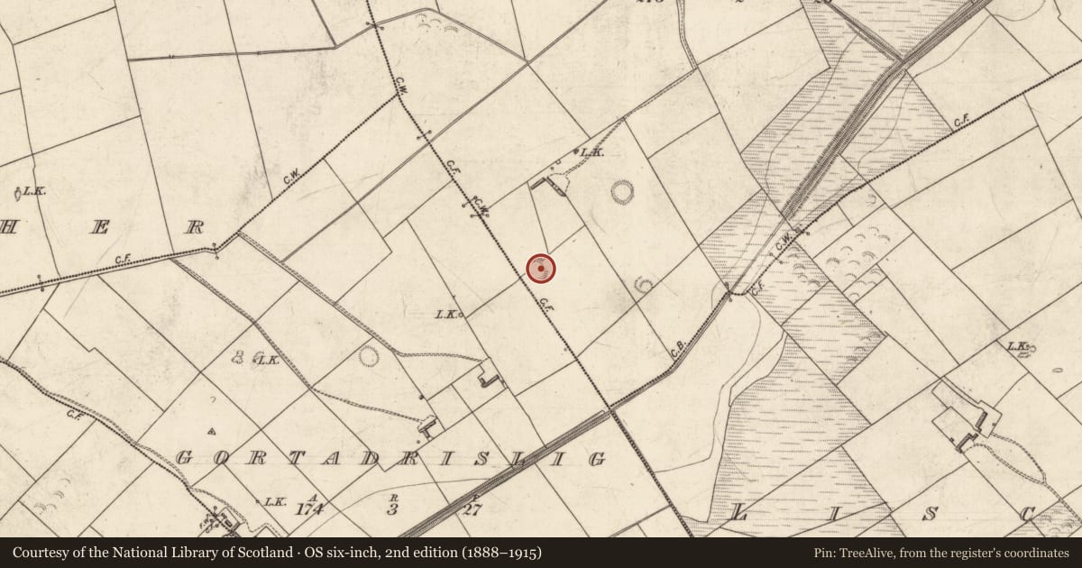 Ordnance Survey six-inch map, 2nd edition (1888–1915) covering the location of Ringfort - rath, Deerpark, County Kerry, with a pin at the register's coordinates