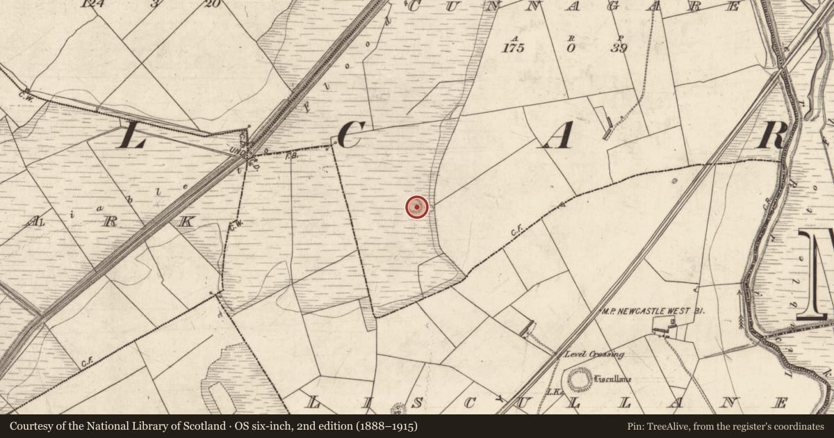 Ordnance Survey six-inch map, 2nd edition (1888–1915) covering the location of Fulacht fia, Cunnagare, County Kerry, with a pin at the register's coordinates
