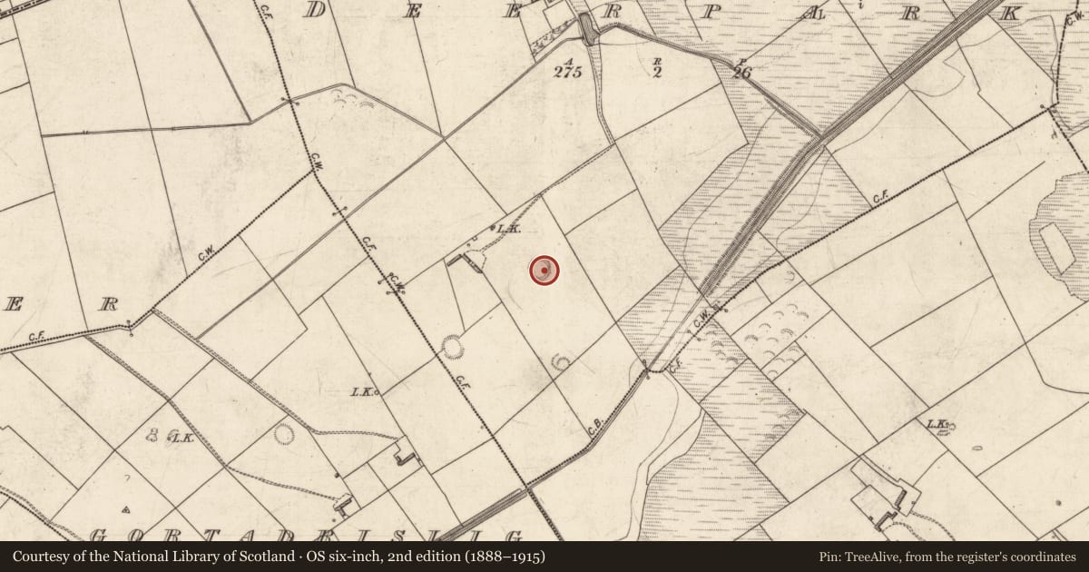 Ordnance Survey six-inch map, 2nd edition (1888–1915) covering the location of Ringfort - rath, Deerpark, County Kerry, with a pin at the register's coordinates