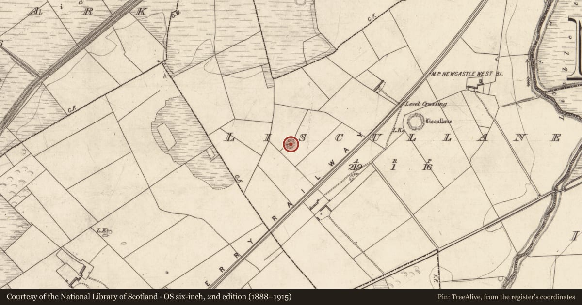 Ordnance Survey six-inch map, 2nd edition (1888–1915) covering the location of Ringfort - rath, Liscullane (Clanmaurice By., Kiltomy Par.), County Kerry, with a pin at the register's coordinates