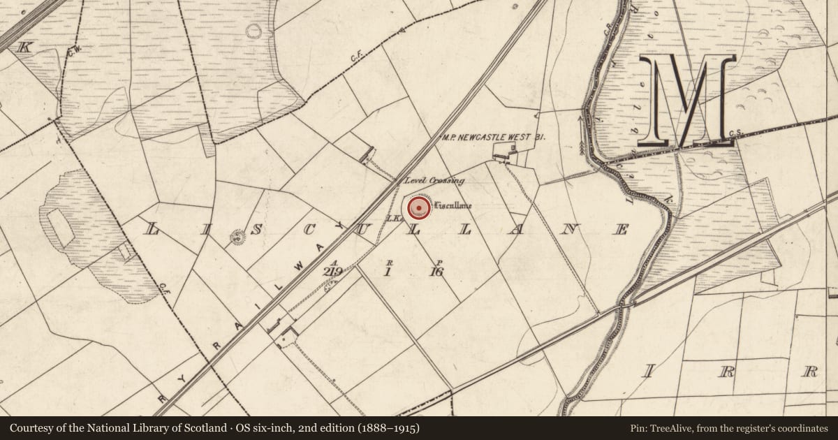 Ordnance Survey six-inch map, 2nd edition (1888–1915) covering the location of Ringfort - rath, Liscullane (Clanmaurice By., Kiltomy Par.), County Kerry, with a pin at the register's coordinates