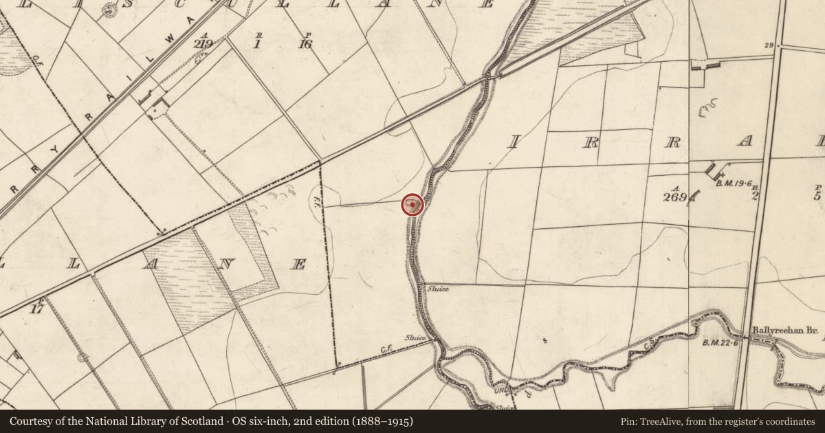 Ordnance Survey six-inch map, 2nd edition (1888–1915) covering the location of Enclosure, Liscullane (Clanmaurice By., Kilcaragh Par.), County Kerry, with a pin at the register's coordinates