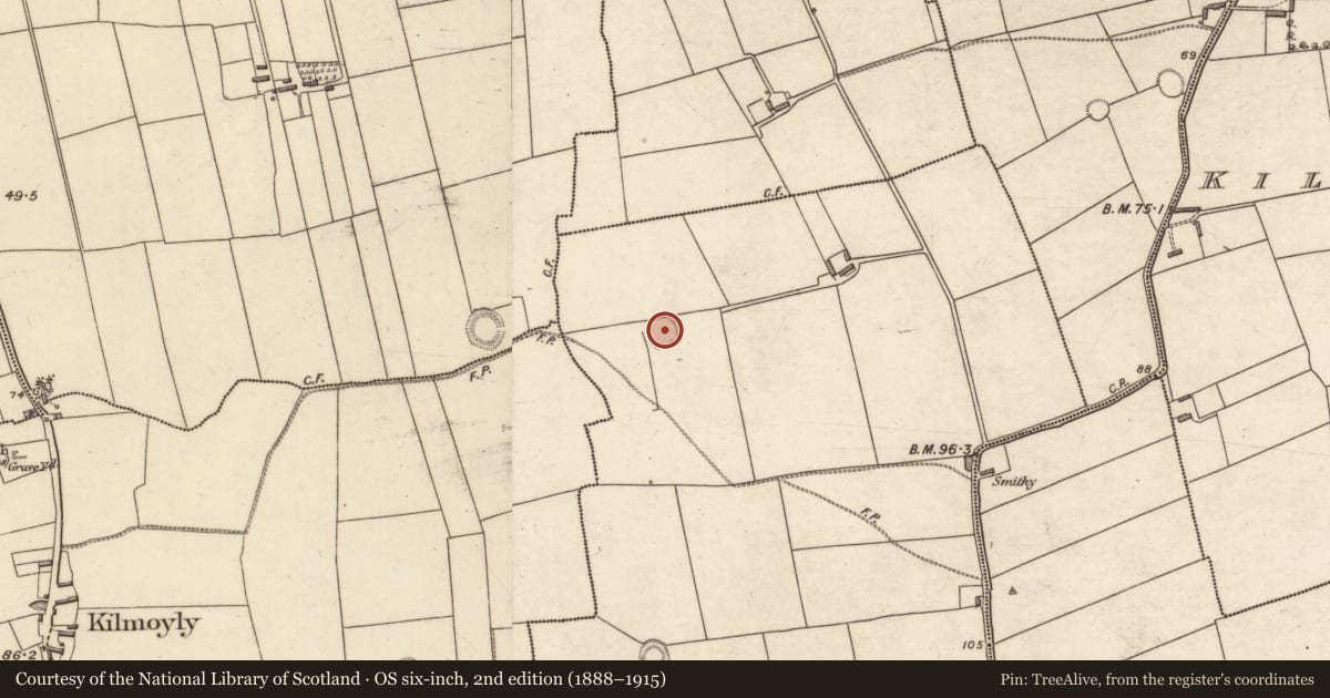 Ordnance Survey six-inch map, 2nd edition (1888–1915) covering the location of Ringfort - rath, Ballymacandrew South, County Kerry, with a pin at the register's coordinates