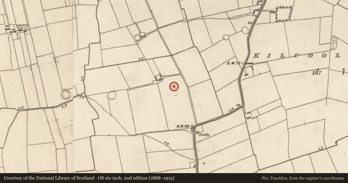 Ordnance Survey six-inch map, 2nd edition (1888–1915) covering the location of Ringfort - rath, Ballymacandrew South, County Kerry, with a pin at the register's coordinates