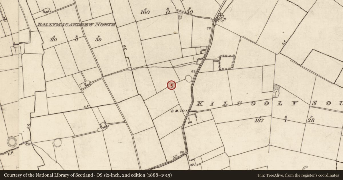 Ordnance Survey six-inch map, 2nd edition (1888–1915) covering the location of Ringfort - rath, Ballyhemikin, County Kerry, with a pin at the register's coordinates