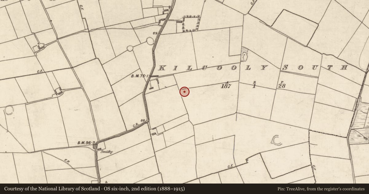 Ordnance Survey six-inch map, 2nd edition (1888–1915) covering the location of Ringfort - rath, Kilcooly South, County Kerry, with a pin at the register's coordinates