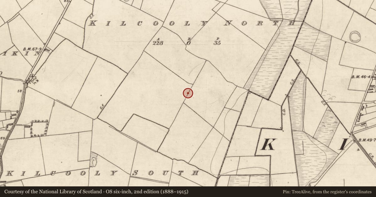 Ordnance Survey six-inch map, 2nd edition (1888–1915) covering the location of Ringfort - rath, Kilcooly North, County Kerry, with a pin at the register's coordinates