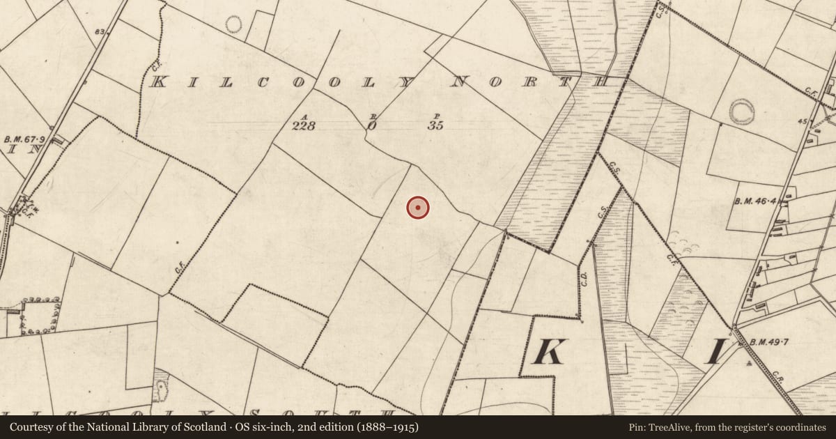 Ordnance Survey six-inch map, 2nd edition (1888–1915) covering the location of Church, Kilcooly North, County Kerry, with a pin at the register's coordinates